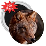 Wolf 3  Magnet (100 pack)