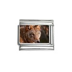 Wolf Italian Charm (9mm)