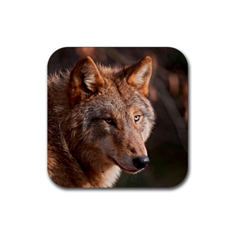 Wolf Rubber Coaster (Square) from ArtsNow.com Front