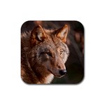 Wolf Rubber Coaster (Square)