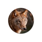 Wolf Magnet 3  (Round)