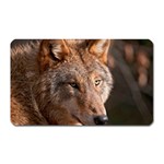 Wolf Magnet (Rectangular)