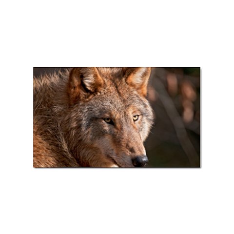 Wolf Sticker Rectangular (10 pack) from ArtsNow.com Front