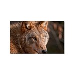 Wolf Sticker Rectangular (100 pack)