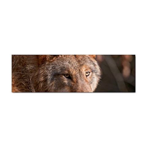 Wolf Sticker Bumper (10 pack) from ArtsNow.com Front