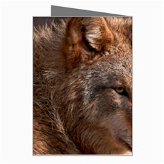 Wolf Greeting Card from ArtsNow.com Right