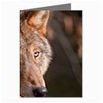 Wolf Greeting Cards (Pkg of 8)