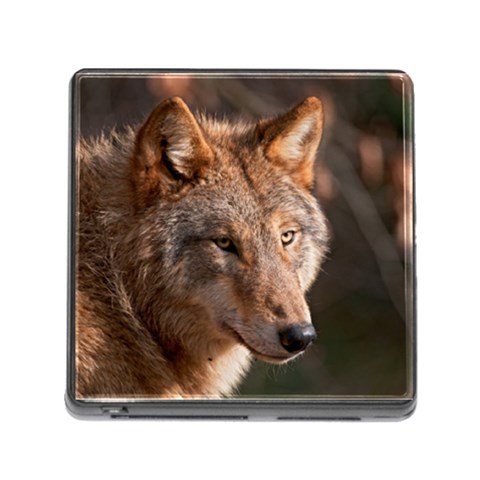 Wolf Memory Card Reader (Square) from ArtsNow.com Front