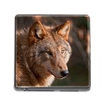 Wolf Memory Card Reader (Square)