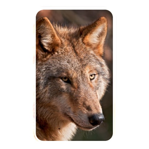 Wolf Memory Card Reader (Rectangular) from ArtsNow.com Front