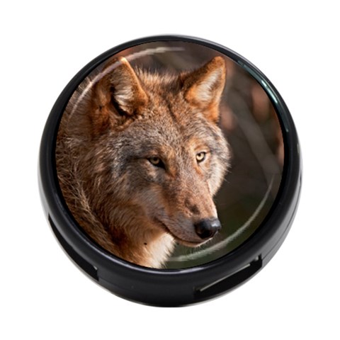 Wolf 4 Front
