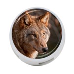 Wolf 4-Port USB Hub (Two Sides)