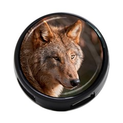 Wolf 4 Back