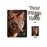 Wolf Playing Cards 54 (Mini)