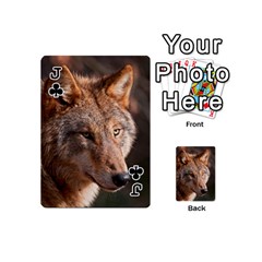 Jack Wolf Playing Cards 54 (Mini) from ArtsNow.com Front - ClubJ