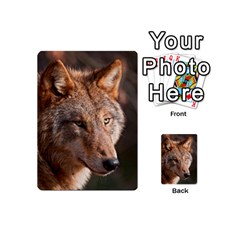 Wolf Playing Cards 54 (Mini) from ArtsNow.com Back