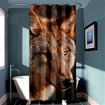 Wolf Shower Curtain 36  x 72  (Stall)