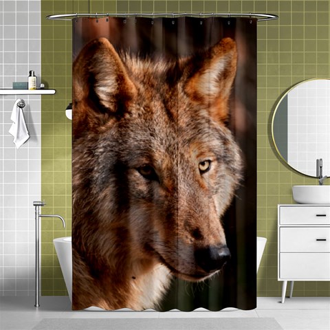 Wolf Shower Curtain 48  x 72  (Small) from ArtsNow.com Curtain(48  X 72 ) - 42.18 x64.8  Curtain(48  X 72 )