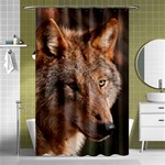Wolf Shower Curtain 48  x 72  (Small)