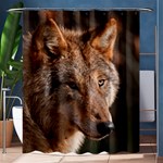 Wolf Shower Curtain 60  x 72  (Medium)