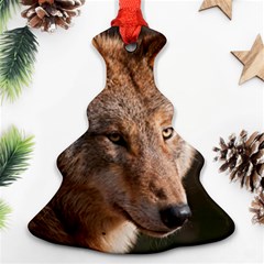 Wolf Christmas Tree Ornament (Two Sides) from ArtsNow.com Front