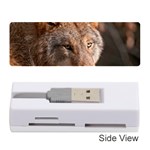 Wolf Memory Card Reader (Stick)