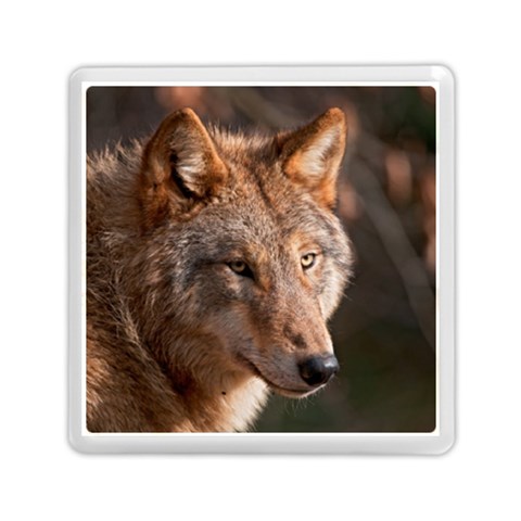 Wolf Memory Card Reader (Square) from ArtsNow.com Front