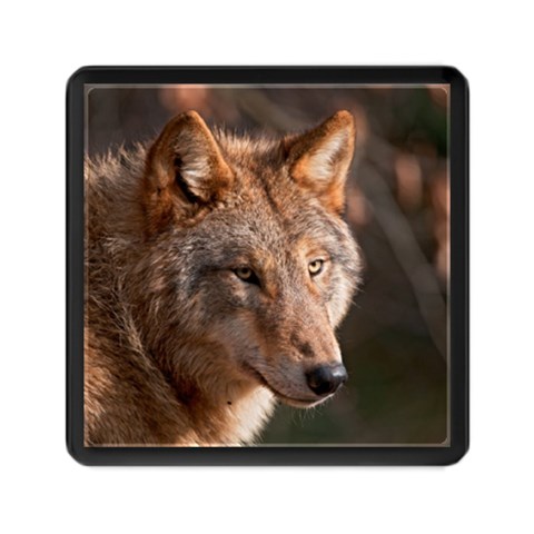 Wolf Memory Card Reader (Square) from ArtsNow.com Front