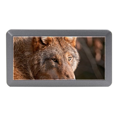 Wolf Memory Card Reader (Mini) from ArtsNow.com Front