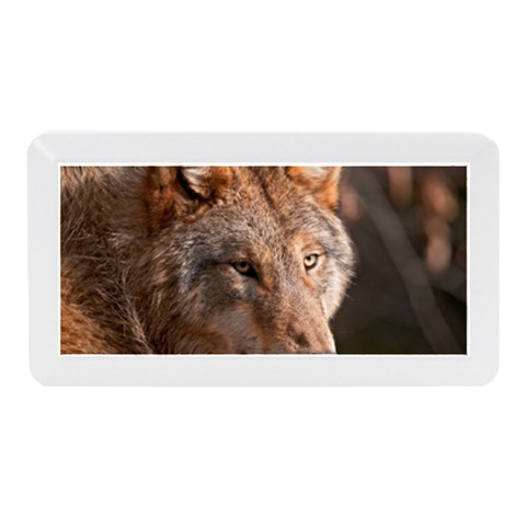 Wolf Memory Card Reader (Mini) from ArtsNow.com Front