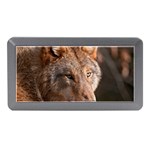 Wolf Memory Card Reader (Mini)