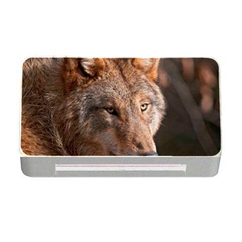 Wolf Memory Card Reader with CF from ArtsNow.com Front