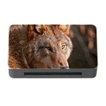 Wolf Memory Card Reader with CF