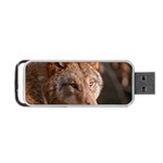 Wolf Portable USB Flash (Two Sides)