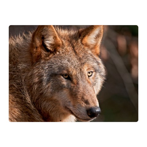Wolf Double Sided Flano Blanket (Mini) from ArtsNow.com 35 x27  Blanket Front