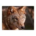 Wolf Double Sided Flano Blanket (Mini)