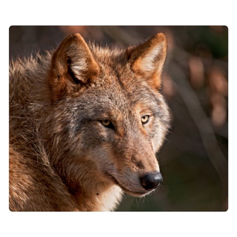 Wolf Double Sided Flano Blanket (Small) from ArtsNow.com 50 x40  Blanket Front