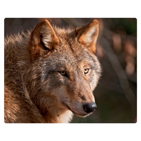 Wolf Double Sided Flano Blanket (Medium) from ArtsNow.com 60 x50  Blanket Front