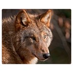 Wolf Double Sided Flano Blanket (Medium)