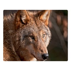 Wolf Double Sided Flano Blanket (Large) from ArtsNow.com 80 x60  Blanket Front