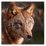 Wolf Large Satin Scarf (Square)