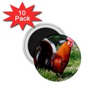 Rooster 1.75  Magnet (10 pack) 