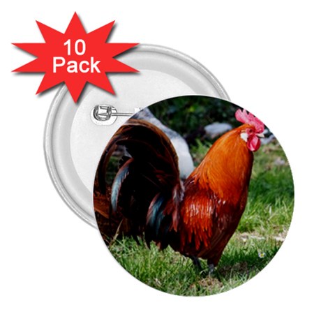 Rooster 2.25  Button (10 pack) from ArtsNow.com Front