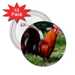 Rooster 2.25  Button (10 pack)
