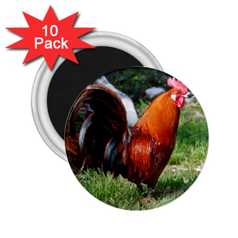 Rooster 2.25  Magnet (10 pack) from ArtsNow.com Front