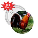 Rooster 2.25  Button (100 pack)