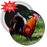 Rooster 3  Magnet (10 pack)
