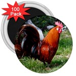 Rooster 3  Magnet (100 pack)