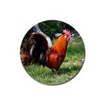 Rooster Rubber Round Coaster (4 pack)