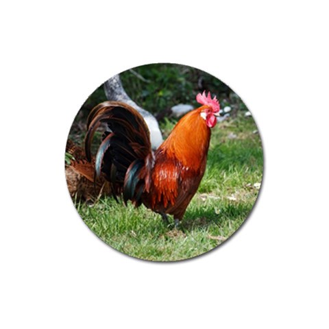 Rooster Magnet 3  (Round) from ArtsNow.com Front